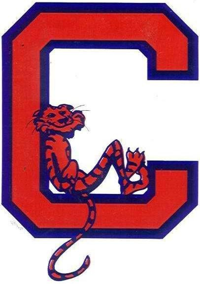 University of Clemson Tigers Fan's Choice Dart Set