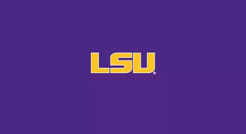 52-4005, 52-4005-9, LSU, Louisiana State University, Pool, Felt, Billiard, Table, 7', 8-ft, 9-ft, Cloth, Multiple Sizes, Imperial, School, logo, FREE SHIPPING, 720801524054