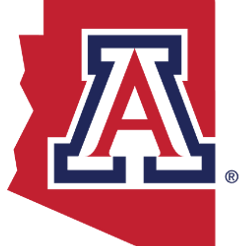 Arizona Wildcats 14-In. Stained Glass Pub Light