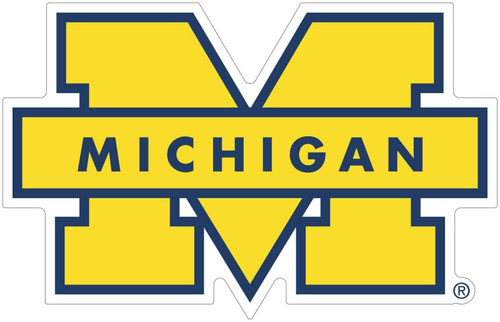 University of Michigan Wolverines Fan's Choice Dart Set