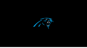 Carolina Panthers - pool cues, pool table felt, & billiard balls | Pool  table cloth, Pool table felt