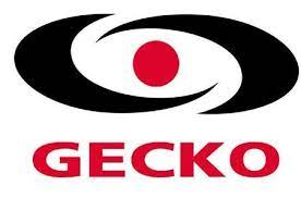 Gecko Spa Parts and Equipment