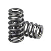 Comp Cams- Beehive 3 Valve 4.6L, Valve Springs