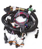 Holley- EFI Modular Main Harness