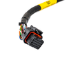 FuelTech FT450 2009 & Older Rotax Harness