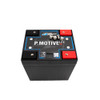 FuelTech Full Spectrum Power P.MotiveLite 16V 1250 Racing Battery