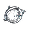 FuelTech FT550 Kawasaki SXR 1500 Racing Harness