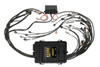 Haltech Elite 2500 + GM GEN III LS1 & LS6 non DBW Terminated Harness Kit (EV1)