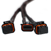 FuelTech FT550 2024+ Rotax 325 Harness