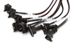 Haltech Elite 2500 V8 Small/Big Block GM, Ford & Chrysler Terminated Harness