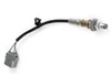 Haltech WB1 NTK - Single Channel CAN O2 Wideband Controller Kit - NTK LZA09-E1 Laboratory Grade 6mA Sensor