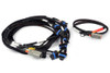 Haltech Nexus Universal V8 - IGN-1A Ford Harness