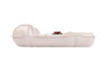 Aeromotive Stealth Fuel Tank, 86-98.5 Mustang Fox Body