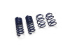 Ford Racing 2024 Mustang GT Coupe (w/Passive Suspension) Track Lowering Spring Kit