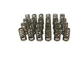 Valve Springs and Valves