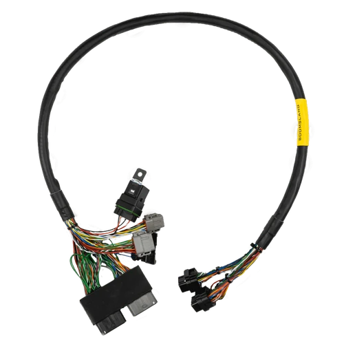 FuelTech FT550 Rotax 300 Harness