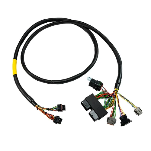 FuelTech FT550 Rotax 300 Harness