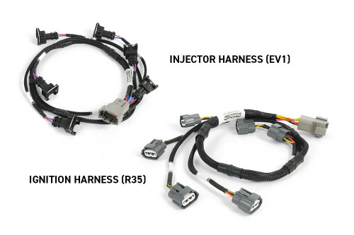 Haltech NEXUS Rebel JZ