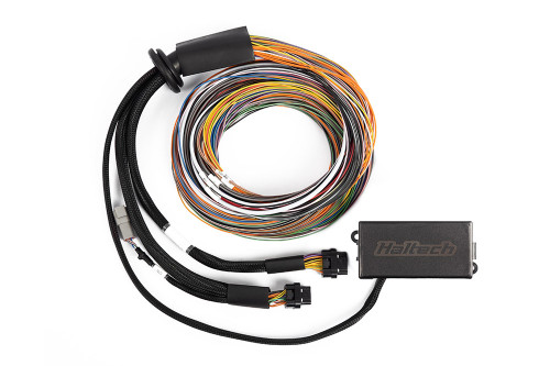 Haltech Elite 1500, 2500 & 2500 T Premium Universal Wire-in Harness