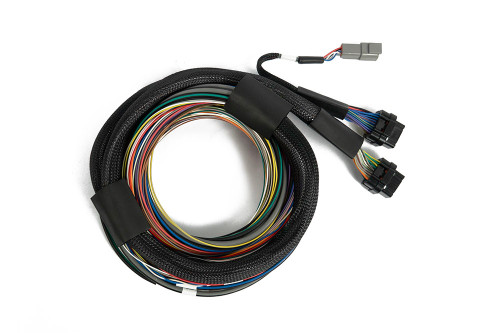 Haltech Nexus S3 / S2 Universal Wire-In Harness - 2.5m (8')