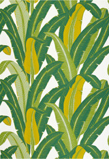 Schumacher Tropical Isle Wallpaper Green on White 2707230 (Priced and Sold as 10 Yard Single Roll)