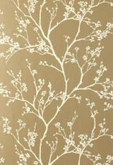 Schumacher Twiggy Wallpaper in Champagne 5003341 (Priced and Sold as 10 Yard Double Roll)