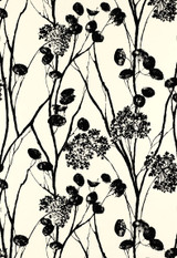 Schumacher Moonpennies Wallpaper in Black & Ivory