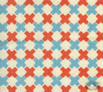 Double Cross Check New Shrimp with New Blue on Tint 4120-