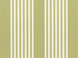 Perennials I Love Stripes Sprout 840 245