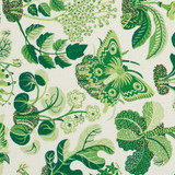 Schumacher Fabric Exotic Butterfly in Leaf 176185