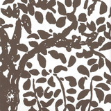 Quadrille Wallpaper Arbre de Matisse Brown on White 2030-05WWP