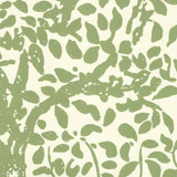 Quadrille Wallpaper Arbre de Matisse Jungle Green on Off White 2030-02WP