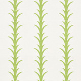 Schumacher Fabric Acanthus Stripe Leaf 177631