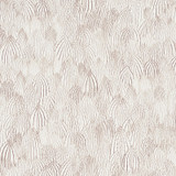 Schumacher Feathers Wallcovering Brown 5008612