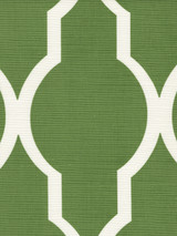 Quadrille Mirador Reverse One Color Cactus Green on Tint 303715F-08