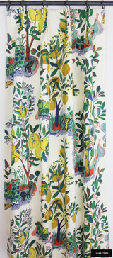 Schumacher Citrus Garden Indoor/Outdoor in Garden 177333