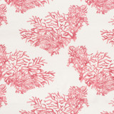 Schumacher Great Barrier Reef Pink 175365