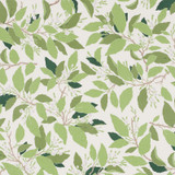 Miles Redd for Schumacher Dogwood Leaf Ivory 176520