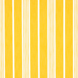 Schumacher Hampton Stripe Indoor/Outdoor in Canary 82303