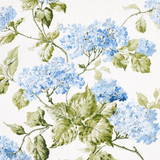 Schumacher Summer Hydrangea Blue Hydrangea 180822