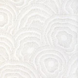Kravet Panache Wallpaper Sand W3823.106.0