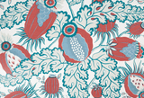 Carnival Coral