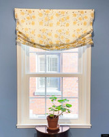 Penny Morrison Pasha Adam Linen V2 Roman Shade