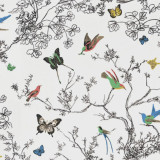 Schumacher Birds & Butterflies Roman Shade in Multi on White