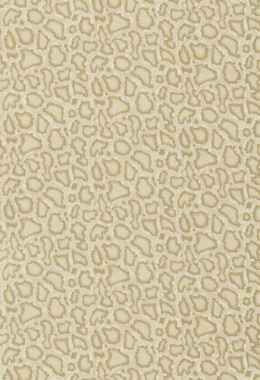 Schumacher Mary McDonald Park Avenue Python