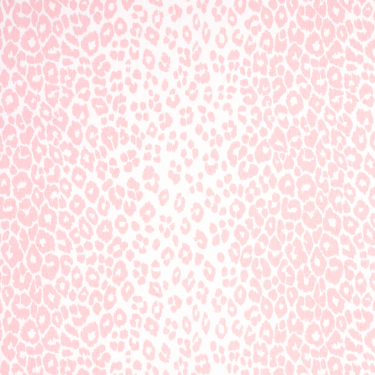 『 Pink Leopard fam 』by Zuberi 30*40cm Bright Pink Leopard – Hera Luxe Equestrian