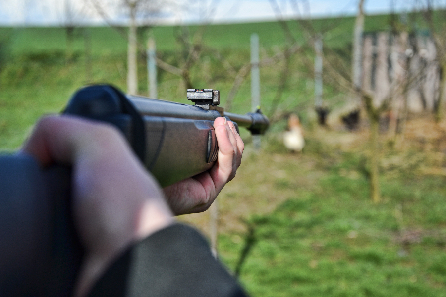 Pellet Guns vs BB Guns: A Comprehensive Guide