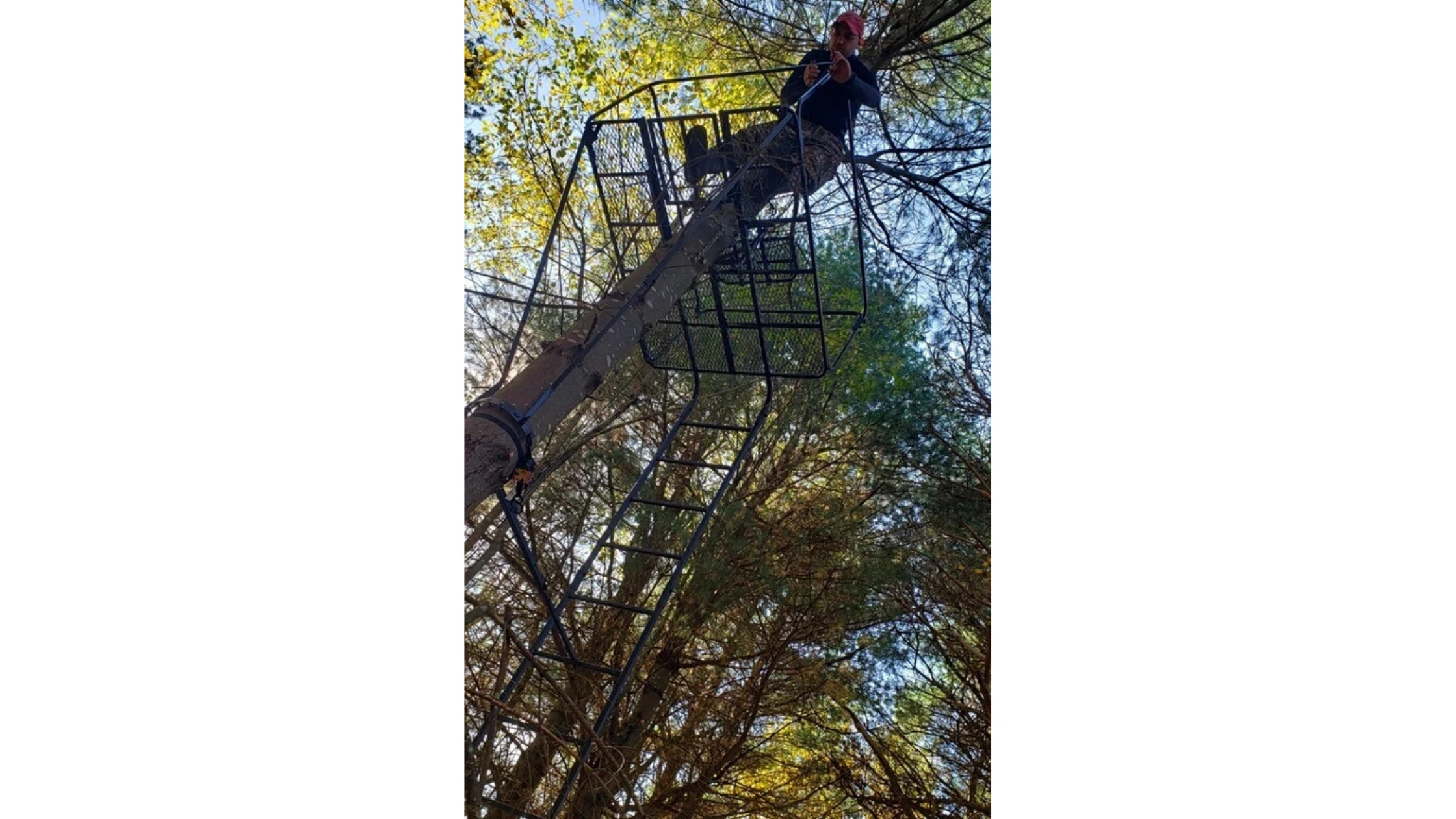 Climbing vs. Ladder Treestands: Which Hunting Style Is Right for You?