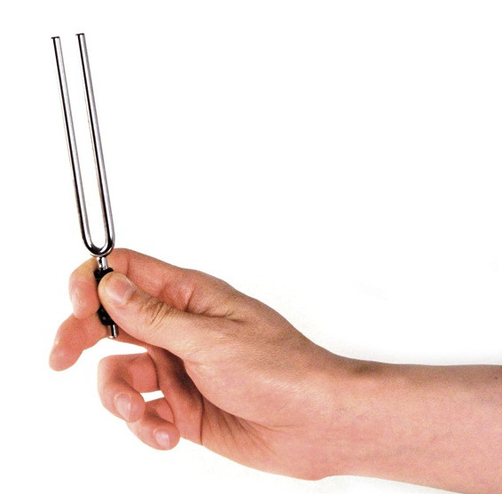 D'Addario Tuning Fork, Key of A
