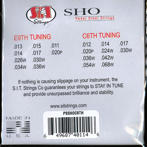 SIT Strings SHO BUD C6th 10-String Set Pedal Steel  Stainless Steel